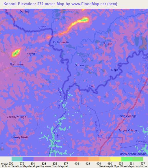 Kohoui,Guinea Elevation Map