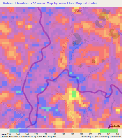 Kohoui,Guinea Elevation Map