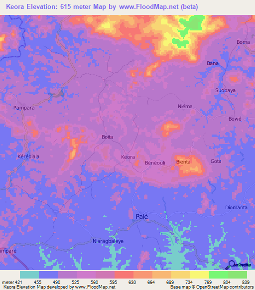 Keora,Guinea Elevation Map