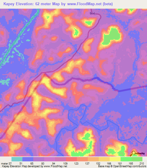 Kapey,Guinea Elevation Map