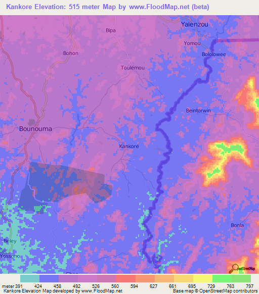 Kankore,Guinea Elevation Map