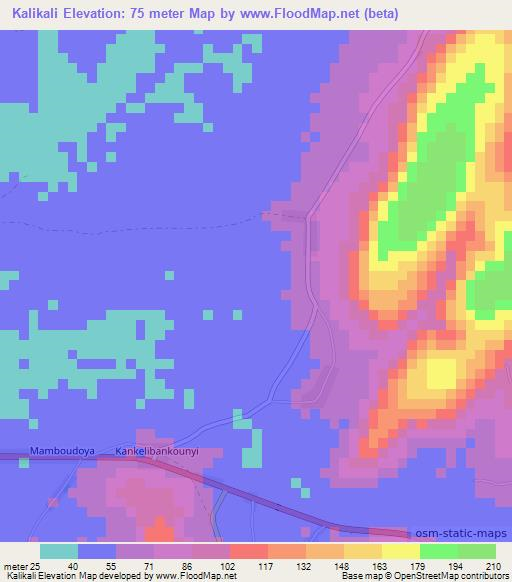 Kalikali,Guinea Elevation Map