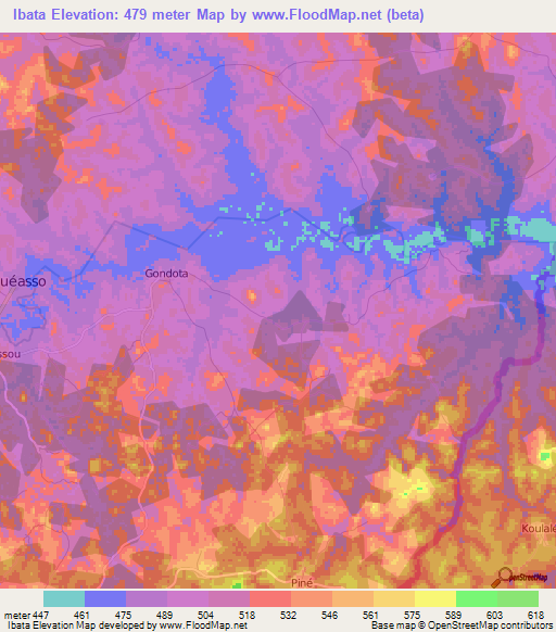 Ibata,Guinea Elevation Map