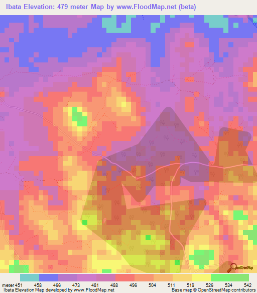 Ibata,Guinea Elevation Map