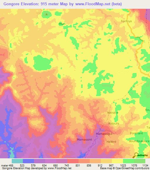 Gongore,Guinea Elevation Map