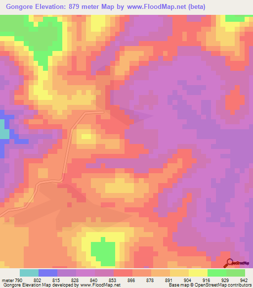 Gongore,Guinea Elevation Map