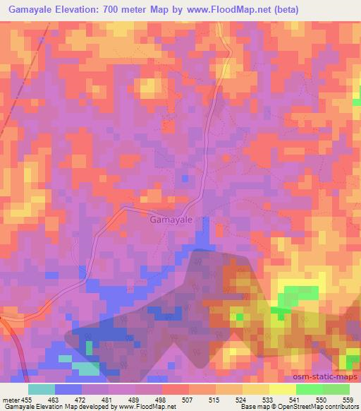 Gamayale,Guinea Elevation Map