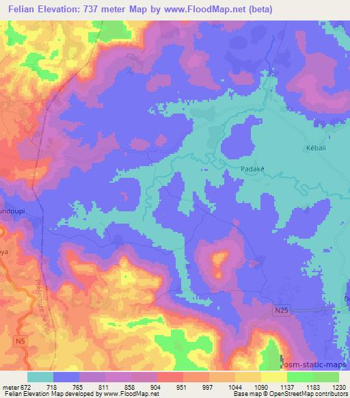 Felian,Guinea Elevation Map