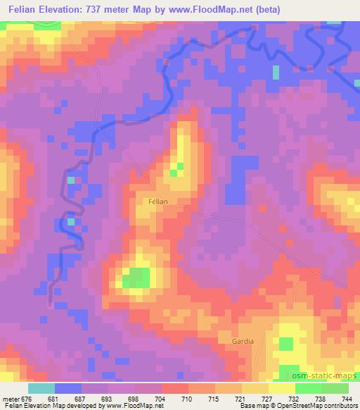 Felian,Guinea Elevation Map