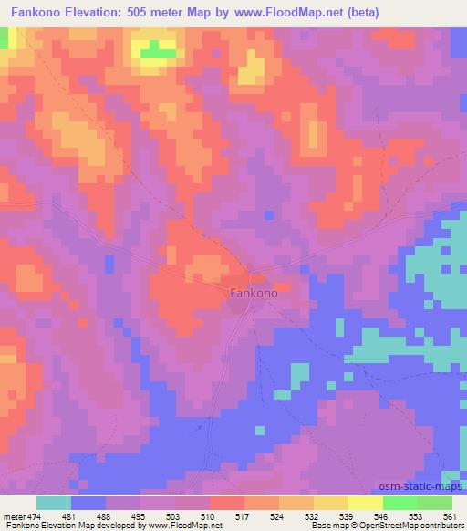 Fankono,Guinea Elevation Map