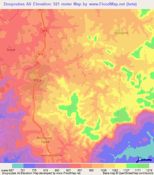 Douyoubes Ali,Guinea Elevation Map