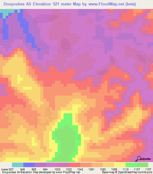 Douyoubes Ali,Guinea Elevation Map