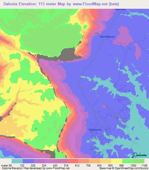 Dalonia,Guinea Elevation Map