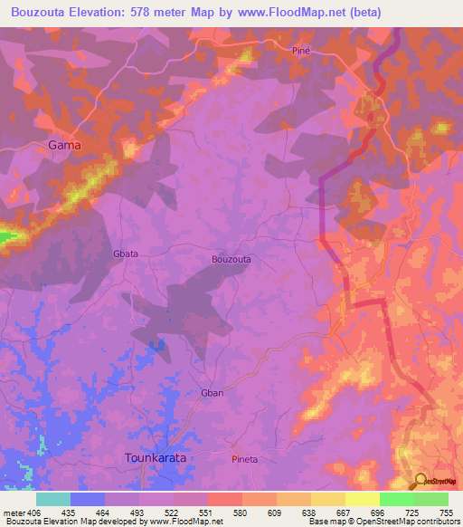 Bouzouta,Guinea Elevation Map