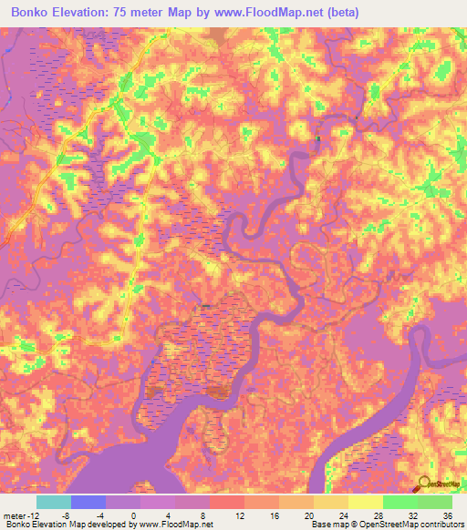 Bonko,Guinea Elevation Map