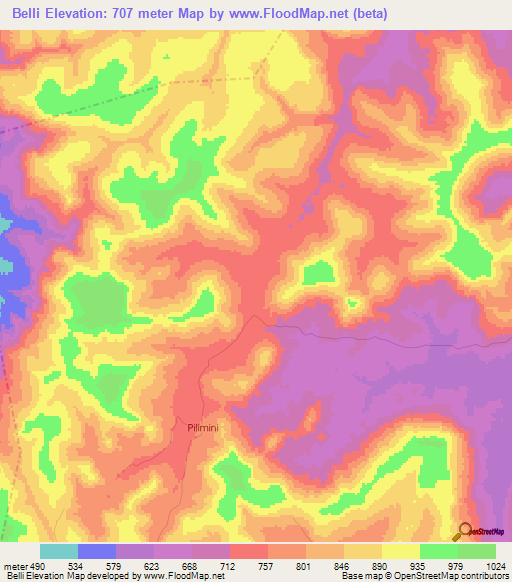 Belli,Guinea Elevation Map