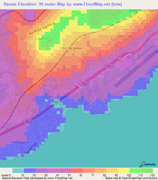 Bassia,Guinea Elevation Map