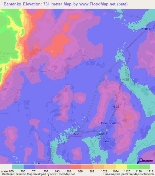 Bantanko,Guinea Elevation Map