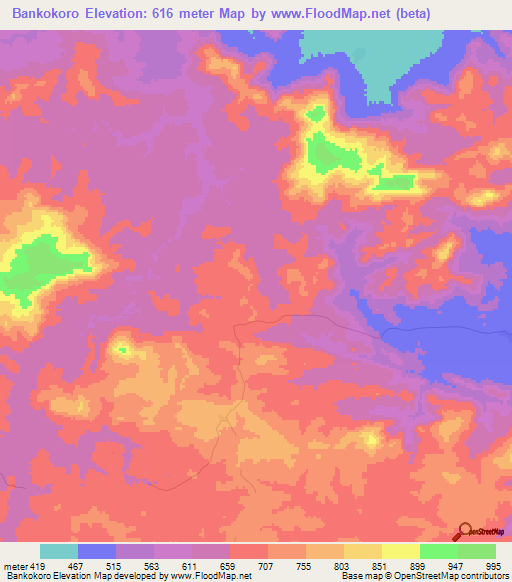 Bankokoro,Guinea Elevation Map