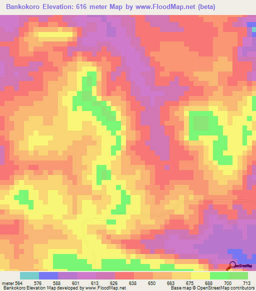 Bankokoro,Guinea Elevation Map