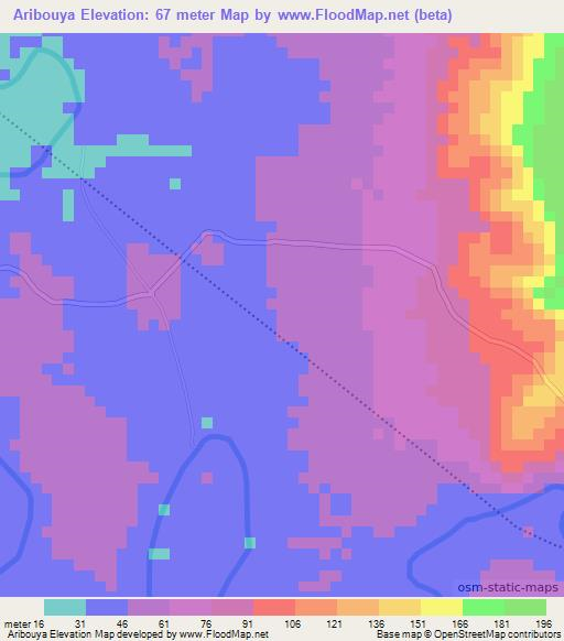 Aribouya,Guinea Elevation Map