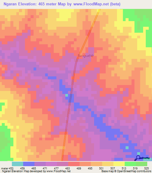 Ngaran,Chad Elevation Map