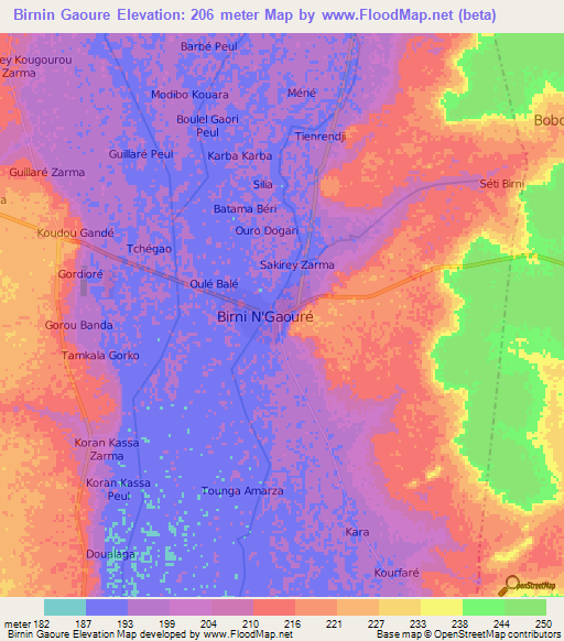 Birnin Gaoure,Niger Elevation Map