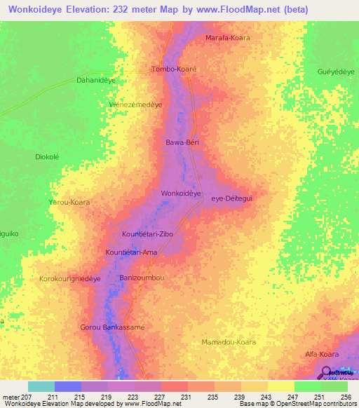 Wonkoideye,Niger Elevation Map