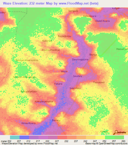 Waze,Niger Elevation Map