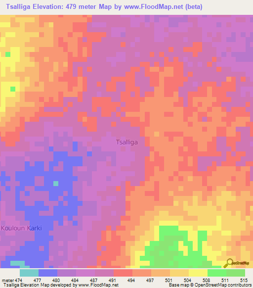 Tsalliga,Niger Elevation Map