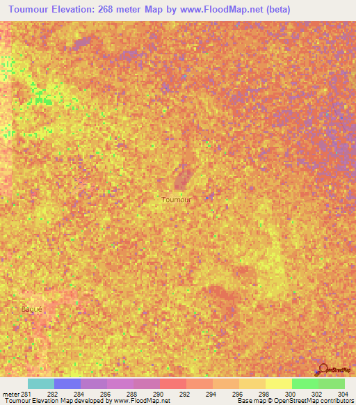 Toumour,Niger Elevation Map