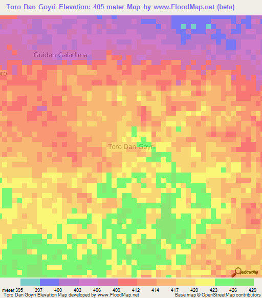 Toro Dan Goyri,Niger Elevation Map