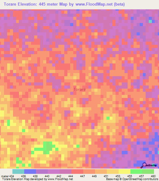 Torare,Niger Elevation Map