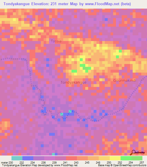 Tondyakangue,Niger Elevation Map