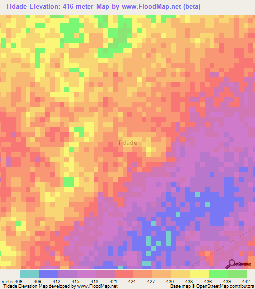 Tidade,Niger Elevation Map