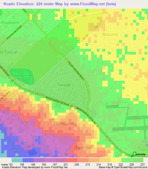 Koado,Niger Elevation Map