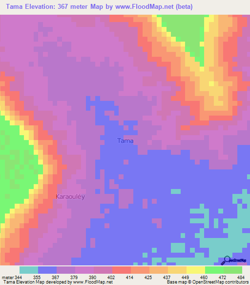 Tama,Niger Elevation Map