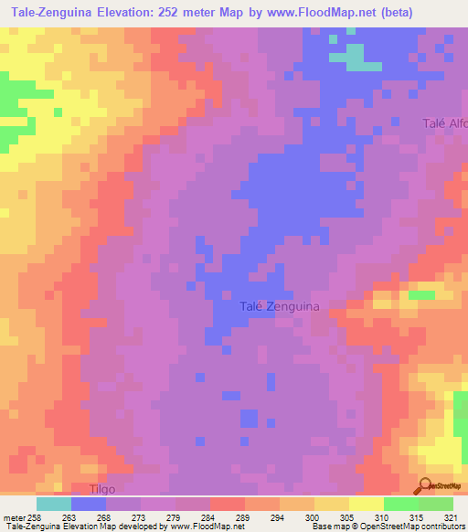 Tale-Zenguina,Niger Elevation Map