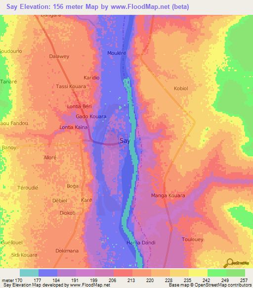 Say,Niger Elevation Map