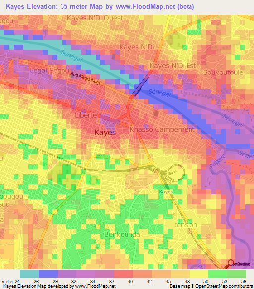 Kayes,Mali Elevation Map