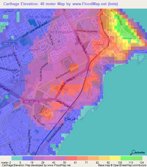 Carthage,Tunisia Elevation Map