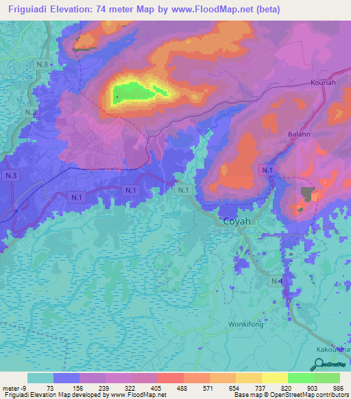 Friguiadi,Guinea Elevation Map