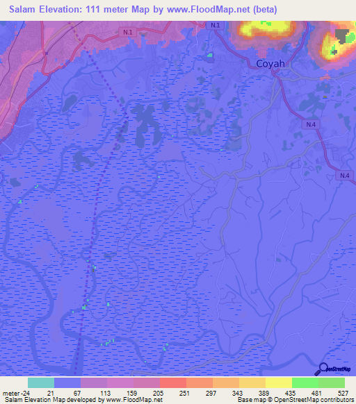 Salam,Guinea Elevation Map