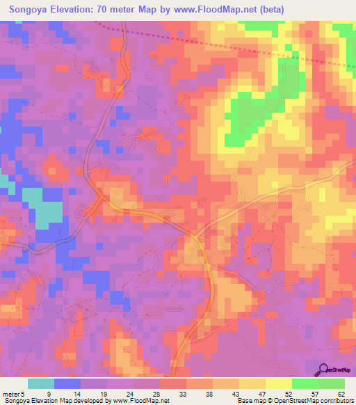 Songoya,Guinea Elevation Map