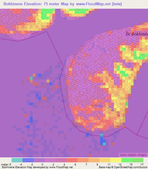 Bokhinene,Guinea Elevation Map