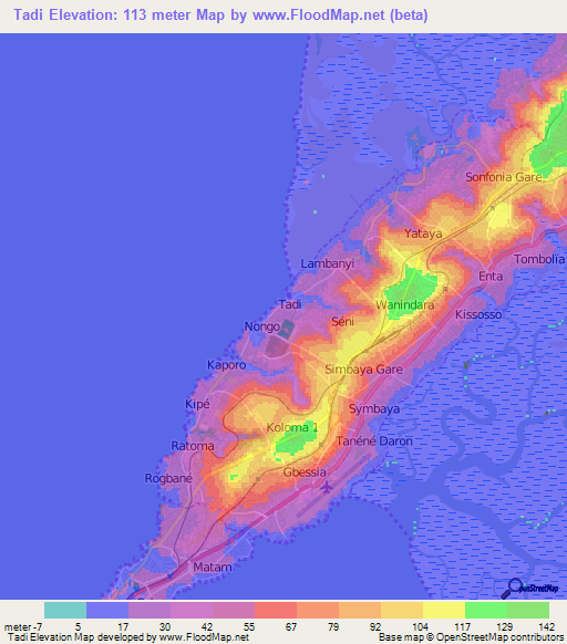 Tadi,Guinea Elevation Map