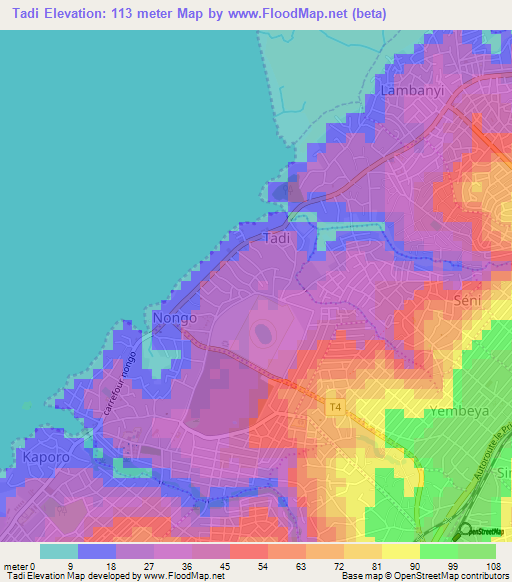 Tadi,Guinea Elevation Map