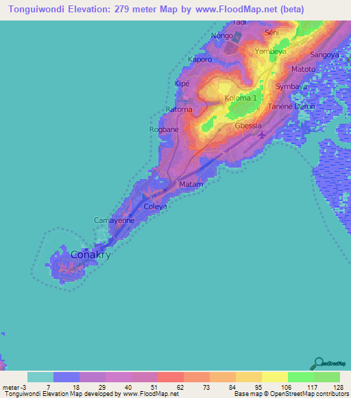 Tonguiwondi,Guinea Elevation Map