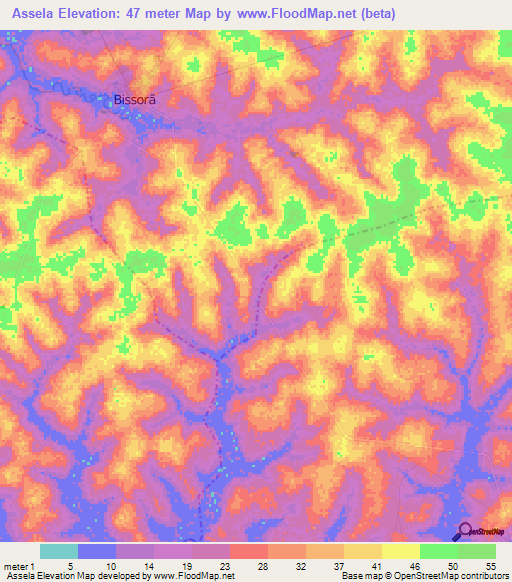 Assela,Guinea-Bissau Elevation Map