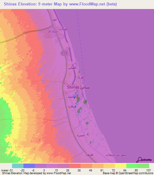 Shinas,Oman Elevation Map